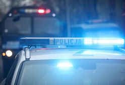 Wielkopolskie. Śmiertelny wypadek na dk11