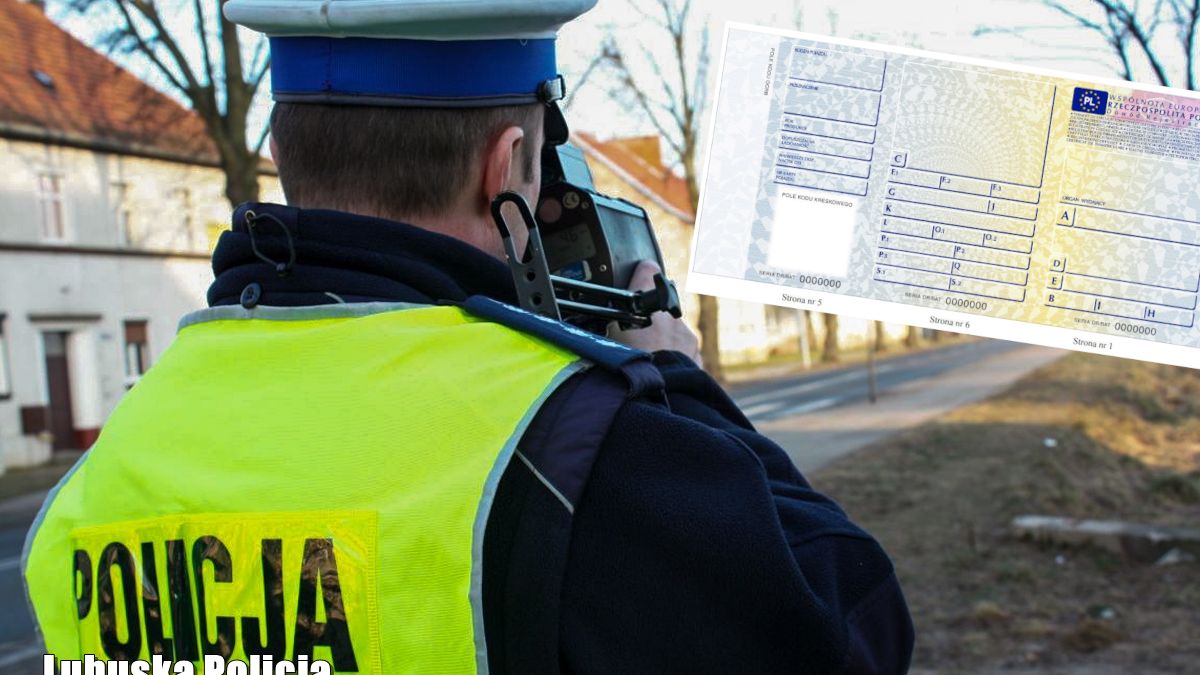 Wymiana dokumentów nie będzie obowiązkowa. Co więcej, nie musimy mieć dowodu podczas kontroli drogowej
