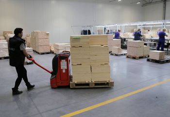 Zmiany w L4 wchodzą w życie. Można stracić zasiłek chorobowy