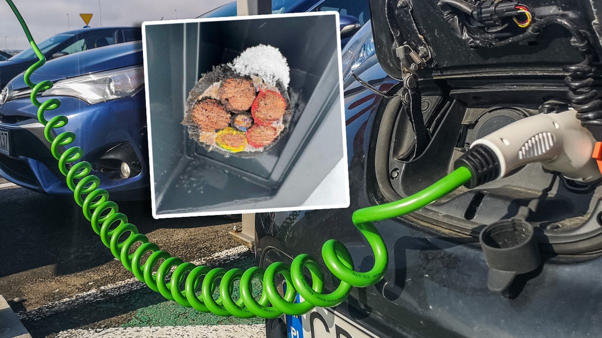 Przecinają kabel do ładowania i kradną. Można na tym zarobić