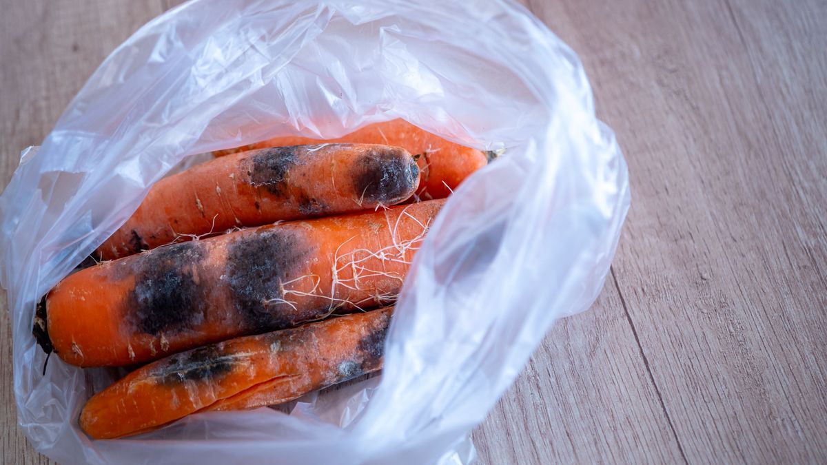 Na marchwi mogą pojawić się ciemne plamy