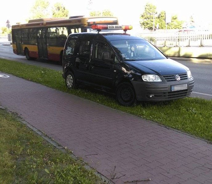 Rozjeżdżam trawnik, bo jestem ze służb drogowych. Kto mi zabroni?