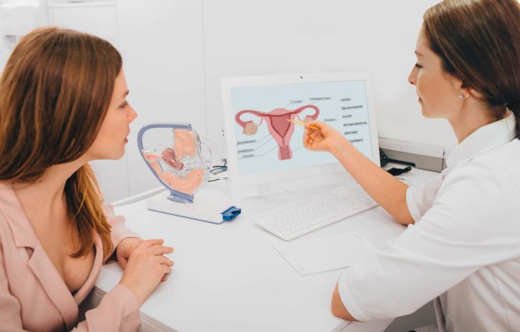 Przerost endometrium jest jednym z częściej występujących problemów dotyczących żeńskiego układu rozrodczego.