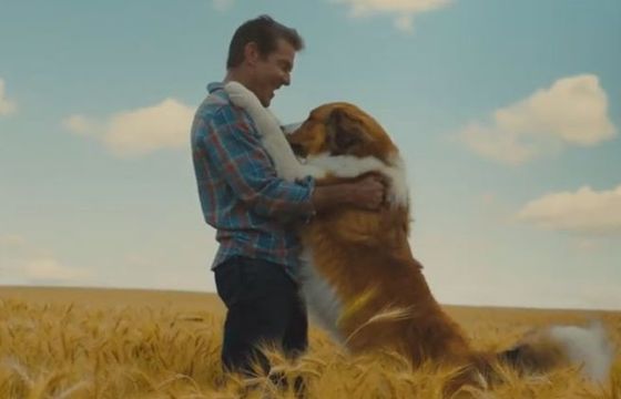 Marcin Dorociński najbardziej wyszczekanym psem w historii kina