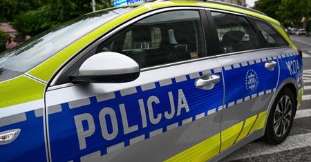 Siedmiolatka zgubiła się w Bielsku Podlaskim. Próbowała dogonić swoje psy
