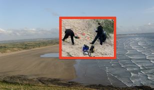 Odkrycie na plaży w Saunton Sands. Szczątki w piasku koło sauny