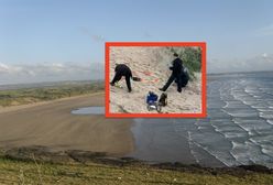Odkrycie na plaży w Saunton Sands. Szczątki w piasku koło sauny