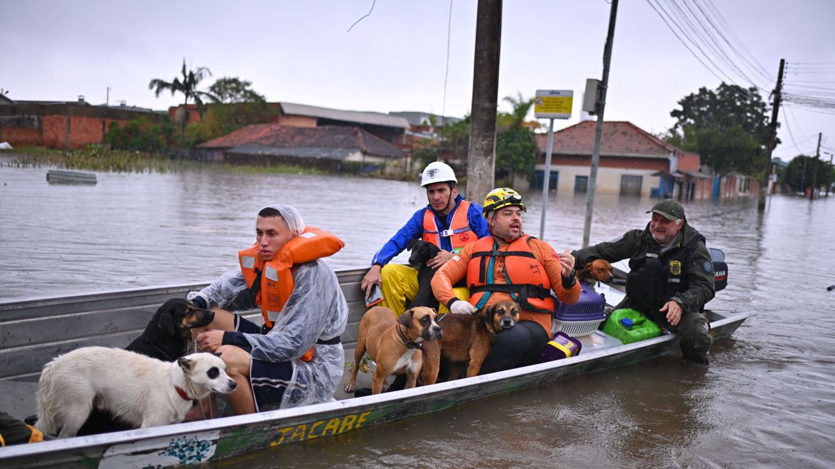 Powódź w Brazylii. Cywile uczestniczą w akcji ratunkowej
