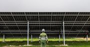 Europa marnuje energię słoneczną. Sieci nie nadążają, konieczne ograniczania