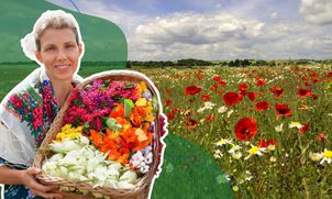 Dzikie owoce, stokrotki i inne niedoceniane "zielska". Ekspertka poleca darmowe pyszności z łąki