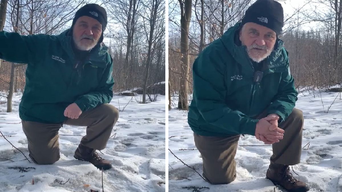 Już się obudziły. Tatrzański Park Krajobrazowy tłumaczy