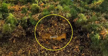 Ukryli to w zaroślach. Tak Zamość i Castorama chronią zwierzęta