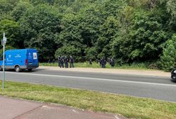 Psy pogryzły go podczas zbierania grzybów. Nie żyje