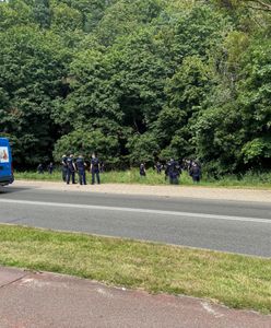 Psy pogryzły go podczas zbierania grzybów. Nie żyje