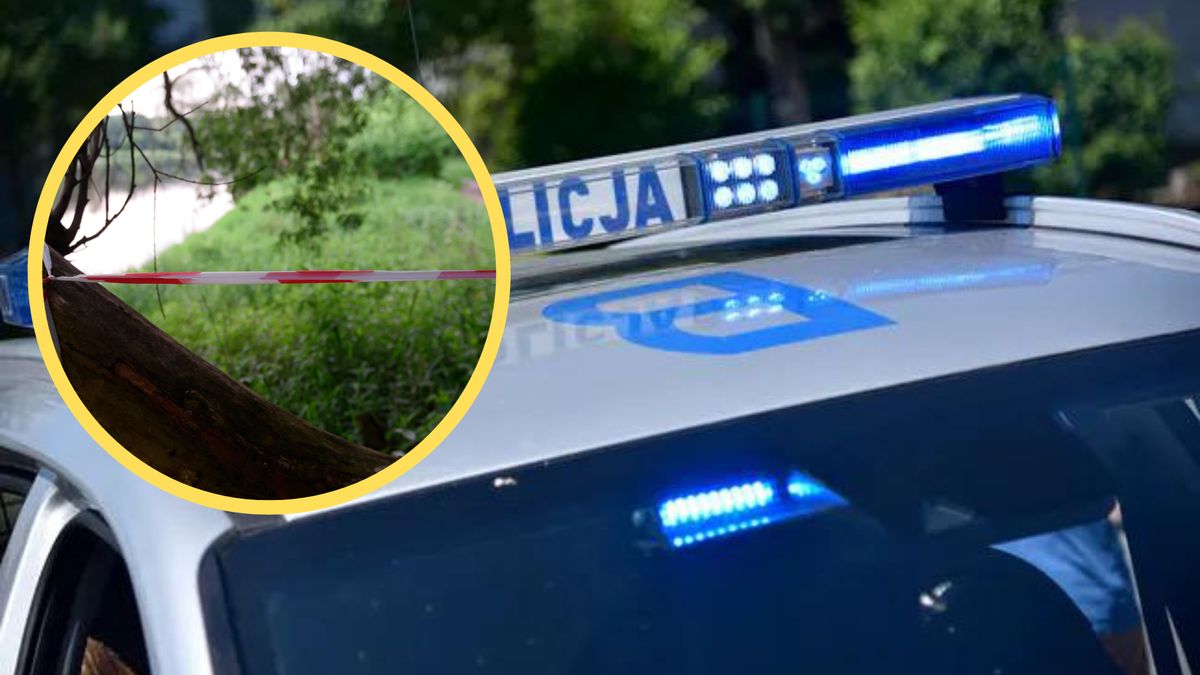 Zdjęcie ilustracyjne. interwencja policji