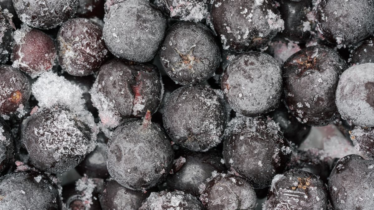 aronia
