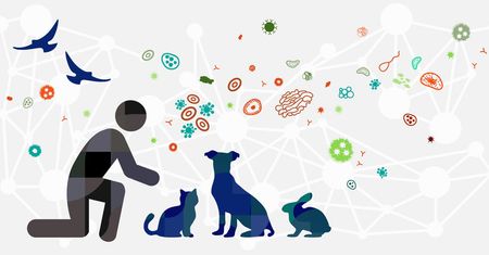 Pastereloza – przyczyny, objawy, diagnostyka i leczenie