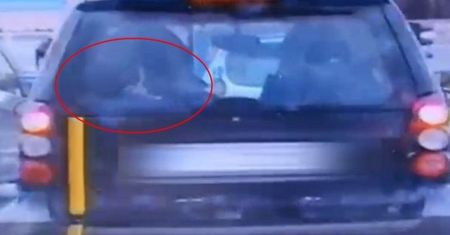 Policja zatrzymała smarta. Nie uwierzysz jak przewoził dzieci w aucie