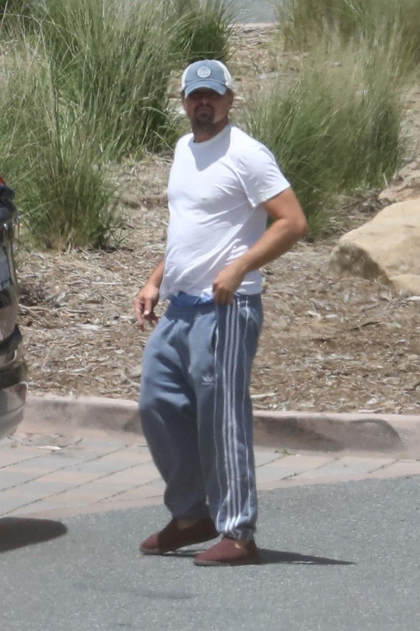 Leonardo DiCaprio