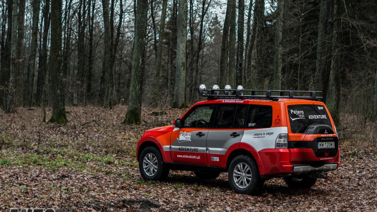 Zdjęcie ilustracyjne do artykułu