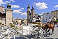 Kraków. Zmusił zwierzę do pracy, koń zmarł. Dorożkarz usłyszał zarzuty