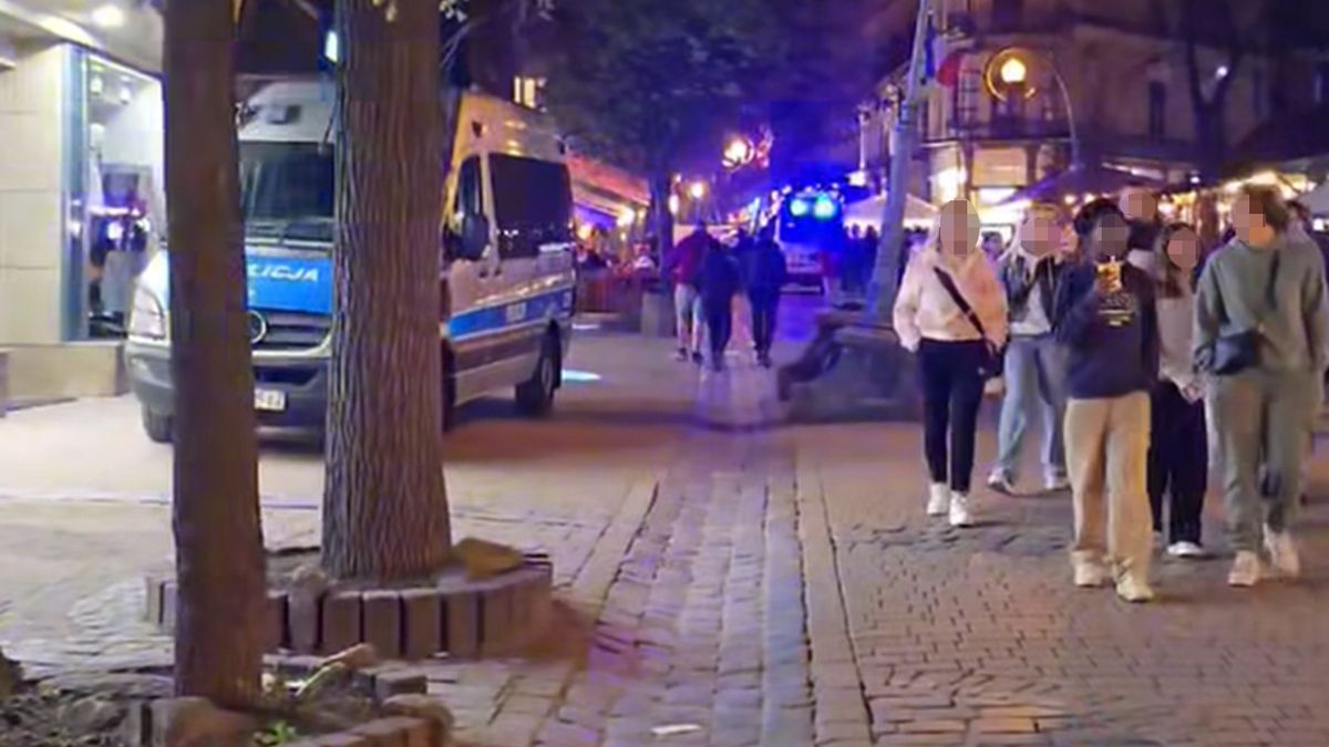 W sieci pojawiły się nagrania z interwencji policji