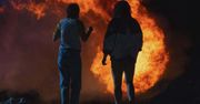 "Love Lies Bleeding". Krew, pot i sterydy w thrillerze z Kristen Stewart [RECENZJA]