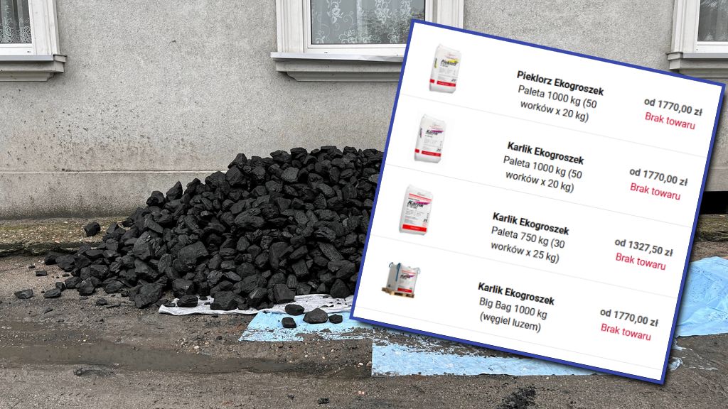 Dostępność tańszego węgla dla klientów indywidualnych jest mocno ograniczona