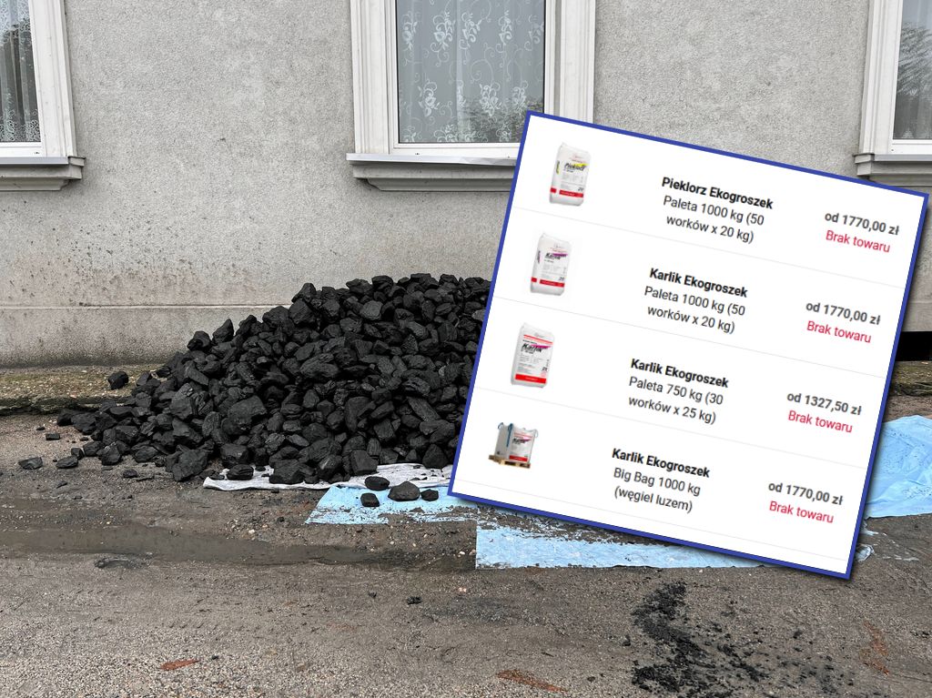 Dostępność tańszego węgla dla klientów indywidualnych jest mocno ograniczona