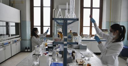 Koronawirus. Kiedy wykonać test? Ekspert radzi
