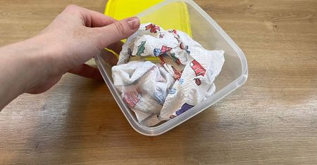 Wrzuć mokry ręcznik papierowy i zamknij. Pojemnik będzie jak nowy
