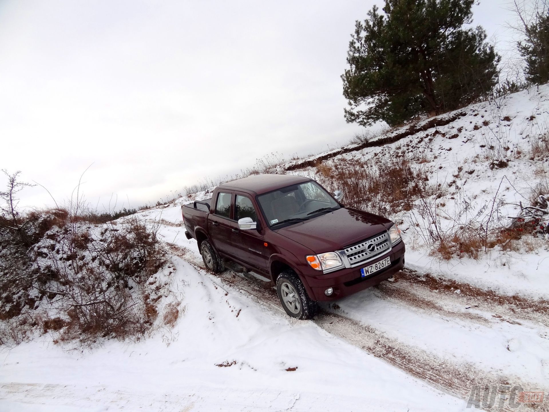 ZX Auto Grand Tiger test
