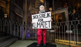 Greta Thunberg podczas protestu w Niemczech