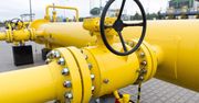 Im też Rosja odetnie gaz? Niemcy się szykują