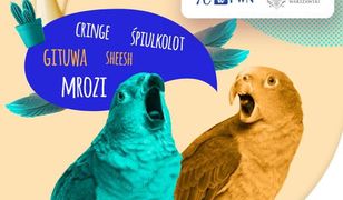 Młodzieżowe Słowo Roku wybrane. "Śpiulkolot" zwycięzcą