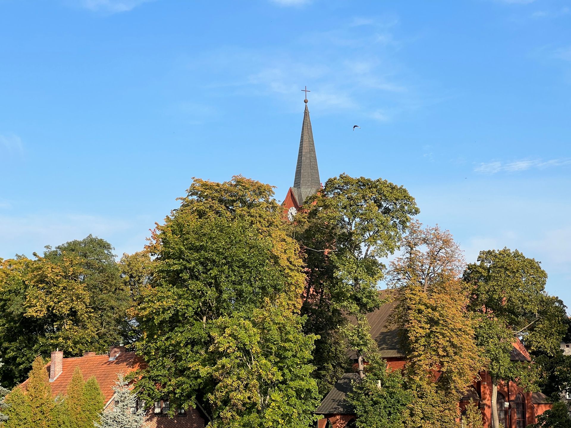 iPhone 13 Pro Max: test. Godny konkurent dla flagowców z Androidem 24