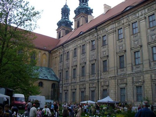 Obraz
