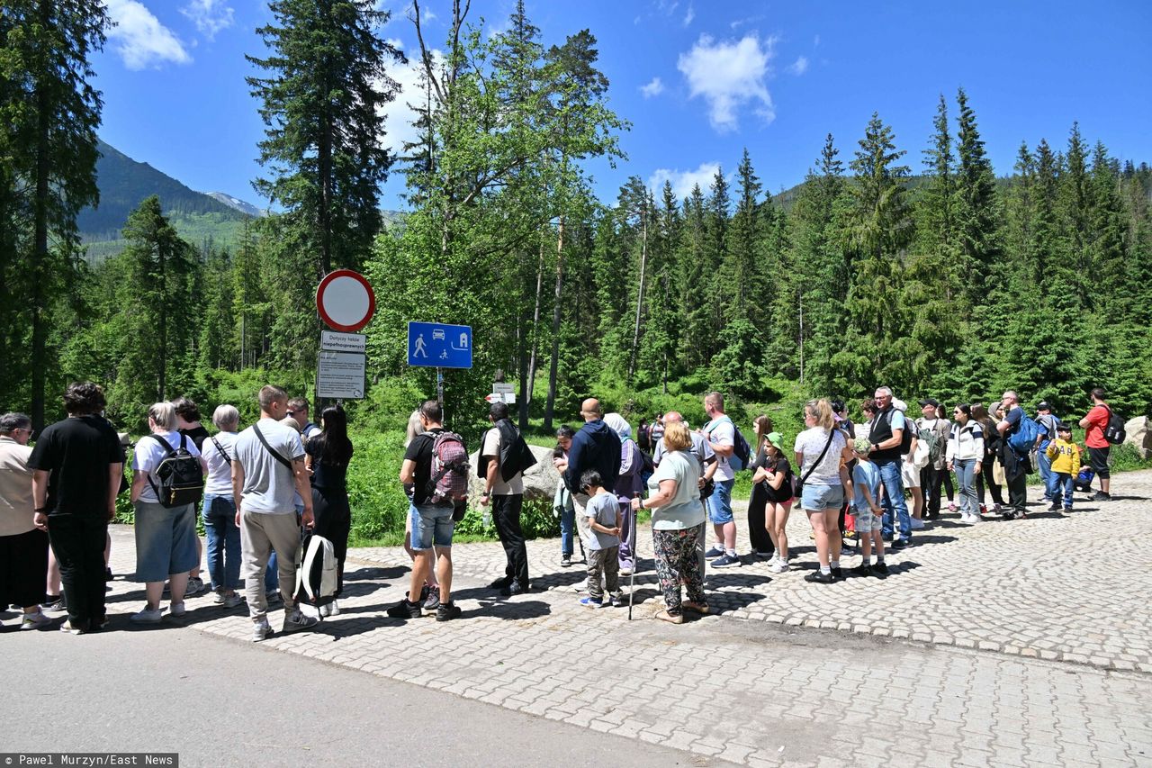 Awantury w Tatrach. Pracownicy TPN alarmują: To dzień powszedni