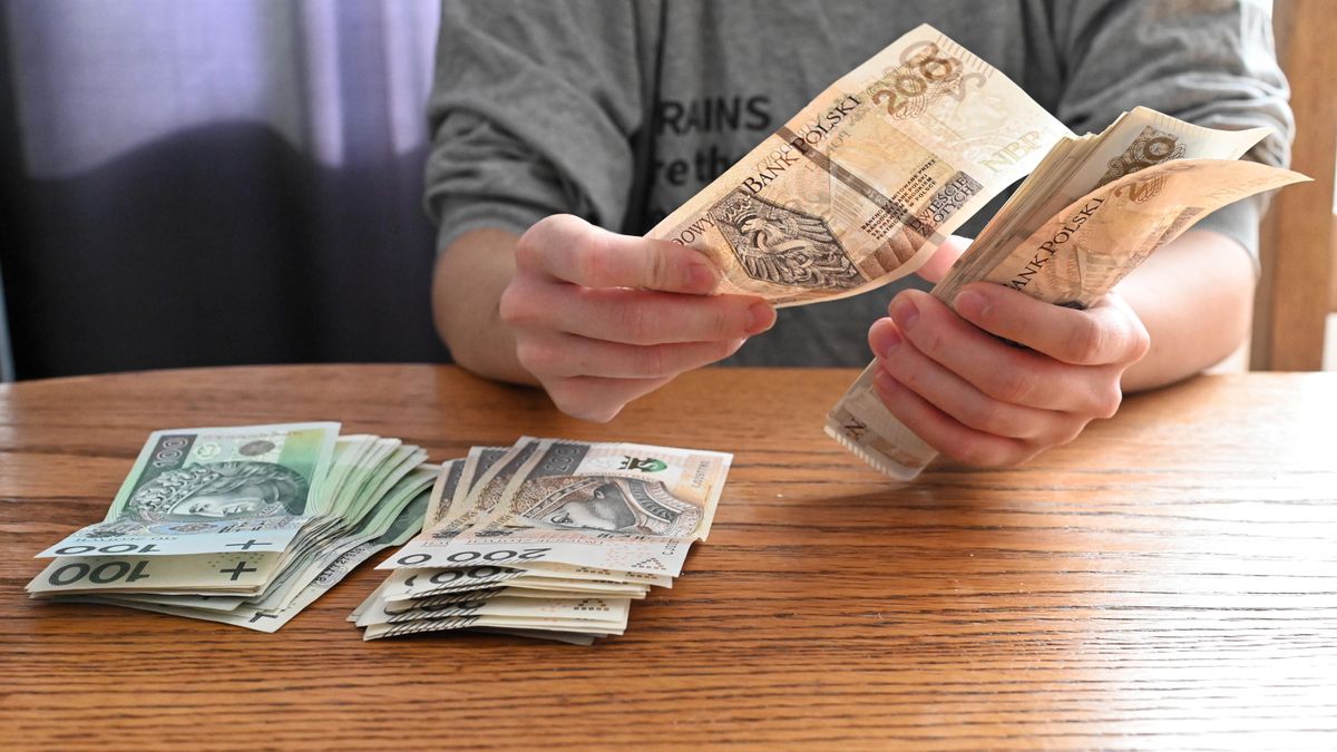 pieni�dze PLN
Szczecin, 09.09.2021. Banknoty, bilety Narodowego Banku Polskiego w nomina�ach 100 i 200 z�otowych trzymane w d�oniach, 9 bm. (ran) PAP/Marcin Bielecki
Marcin Bielecki
100 z�otych, 200 z�, 200 z�otych, banknoty, got�wka, kasa, pieni�dze, dlo�, d�onie, banknot�w, liczenie pieniedzy, z�ot�wki