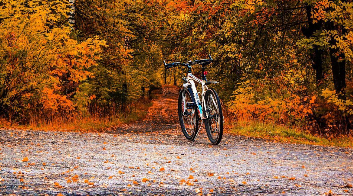 Poznań: Rowerowa wyprawa. Jesienny rajd Doliną Cybiny