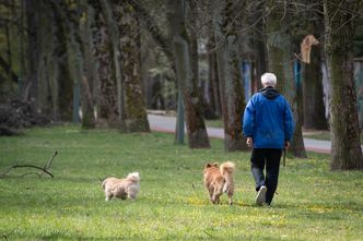 Właścicieli psów czekają zmiany. "Czas skończyć z utrzymywaniem fikcji"