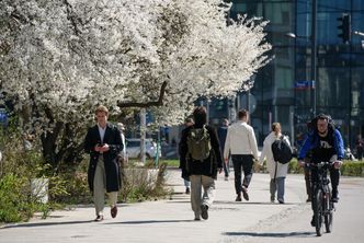 Rozlicz PIT i wygraj auto. Tak miasta walczą o podatników