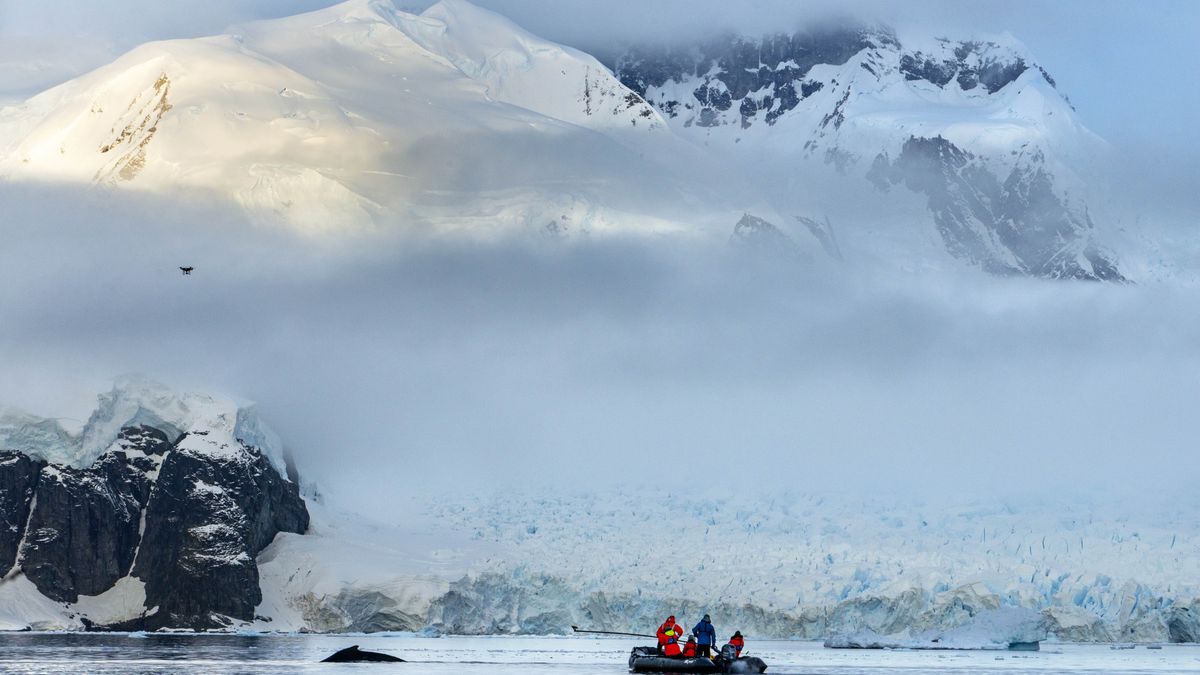 Na Antarktydzie panują ekstremalne warunki  