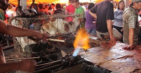 Kolejna pandemia jest kwestią czasu. Tam może wybuchnąć. "Tykająca bomba"
