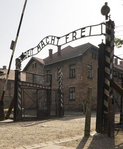 Nagranie wyciekło. Skandal na wycieczce do Auschwitz