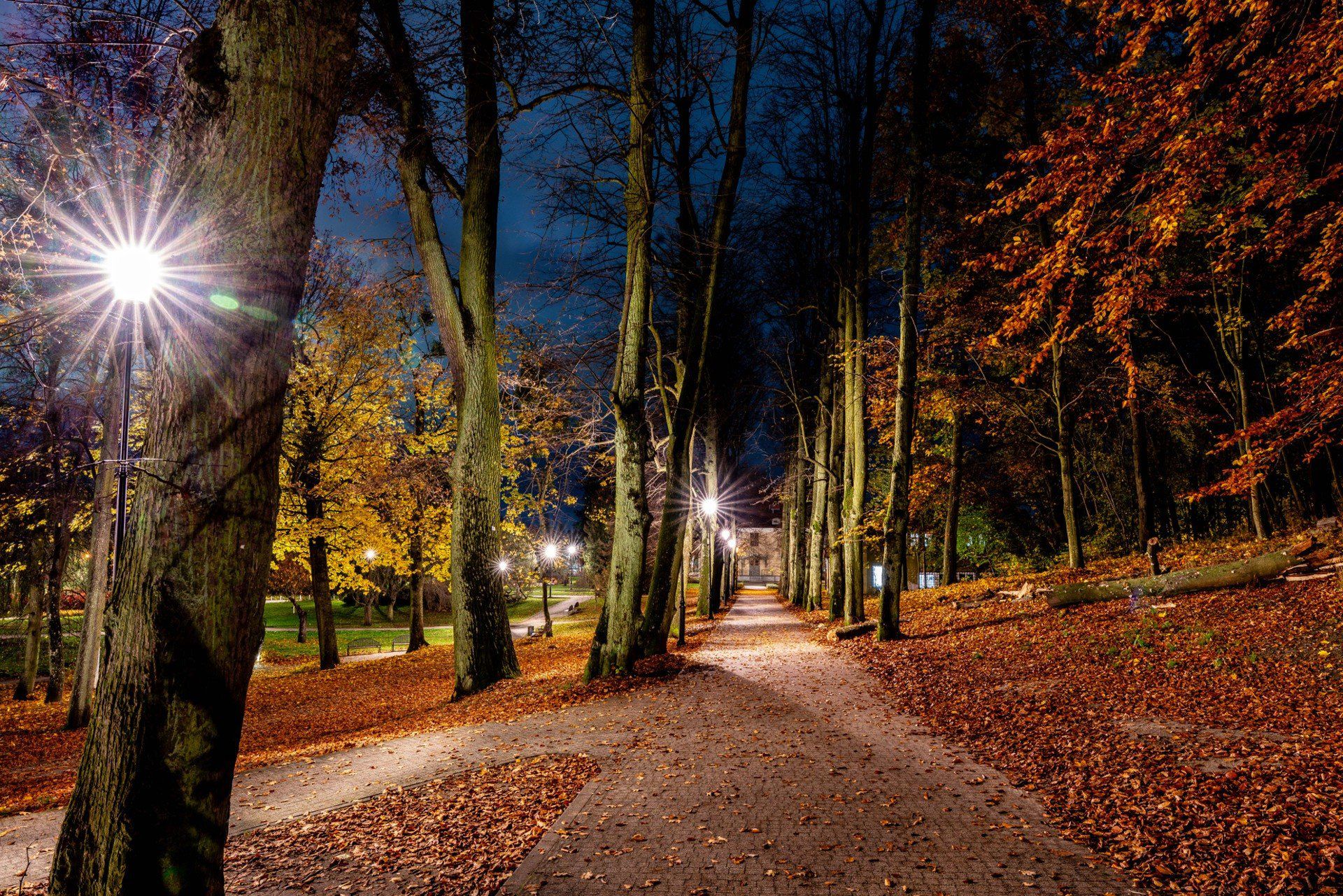 Park Oruński w Gdańsku zachwyca