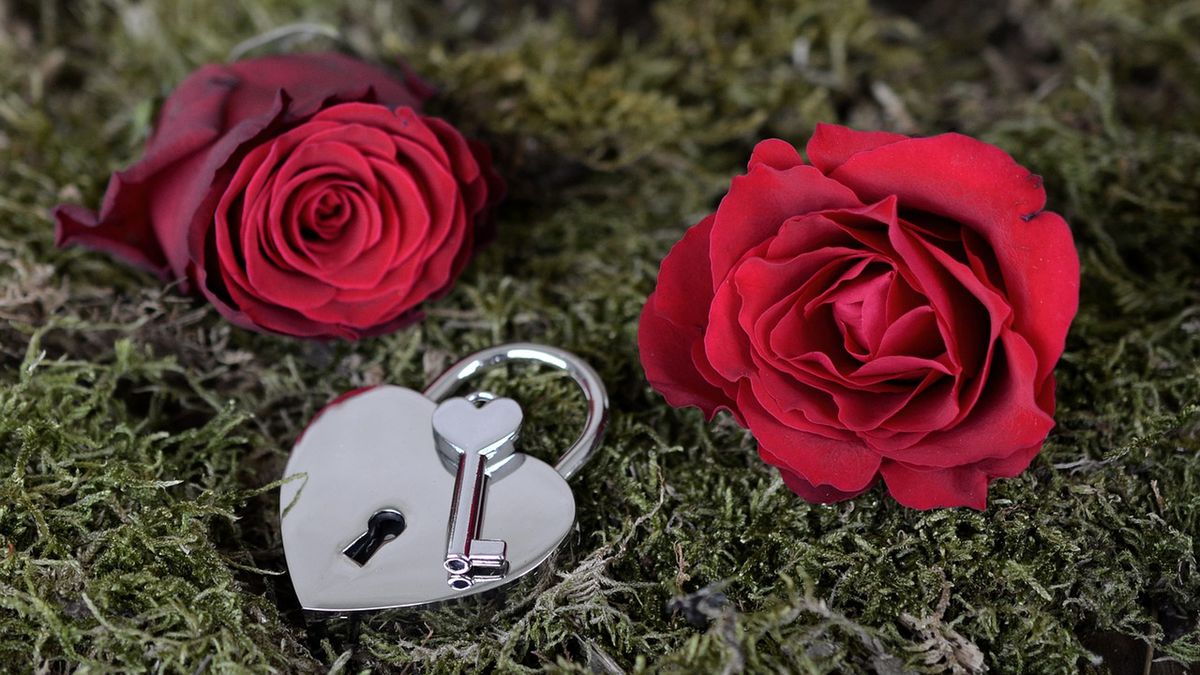 Charakterystyczne dla walentynek czerwone róże