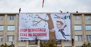 Greenpeace na gmachu resortu środowiska. Aktywiści sprzeciwiają się wycinkom drzew i krytykują ministra środowiska