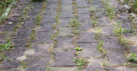 Wylej na kostkę brukową. Myjka ciśnieniowa będzie zbędna