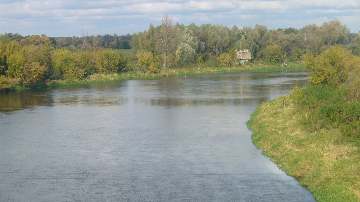 Rzeka Narew 